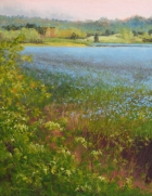 David Nance Fursey Close Corn Flowers oil on canvas landscapes painting still life david nance