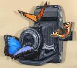 David Nance Memories oil on cut out panel realism trompe l'oeil imaginary hyper butterfly camera