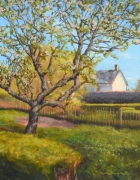 David Nance Wayside Cottage Apple Tree oil on canvas landscapes painting still life david nance